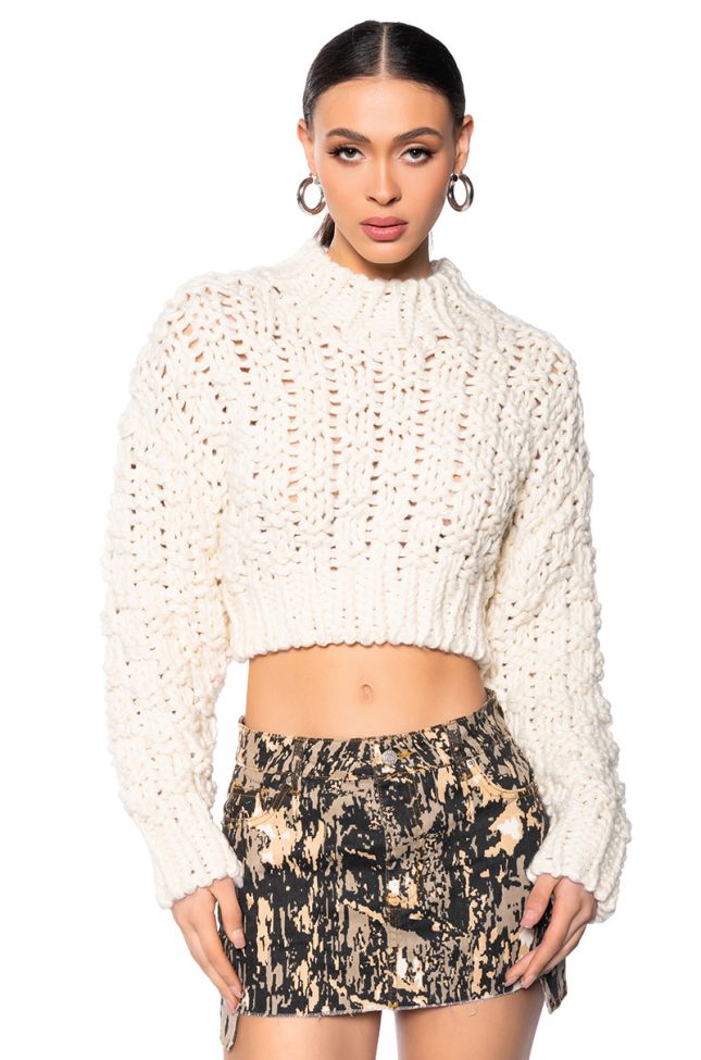Front View Chunky Knit Dolman Sleeve Sweater In Beige