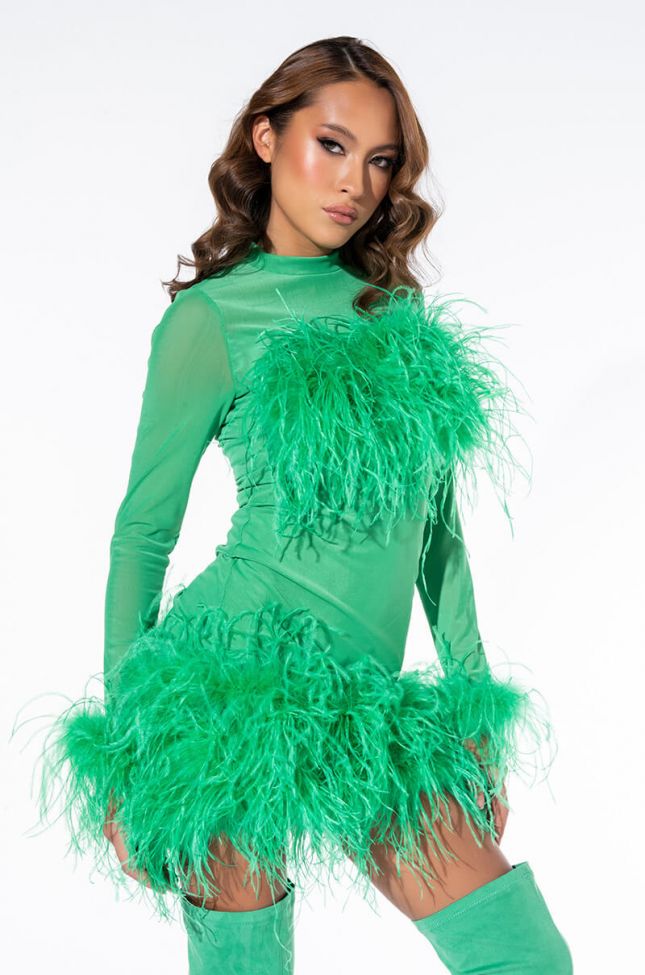 Front View Float Away Real Feather Mesh Mini Dress