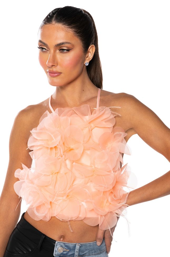 Front View Floral Applique Sleeveless Crop Blouse In Blush