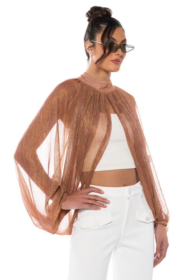 Side View Monica Sheer Overlay Blouse