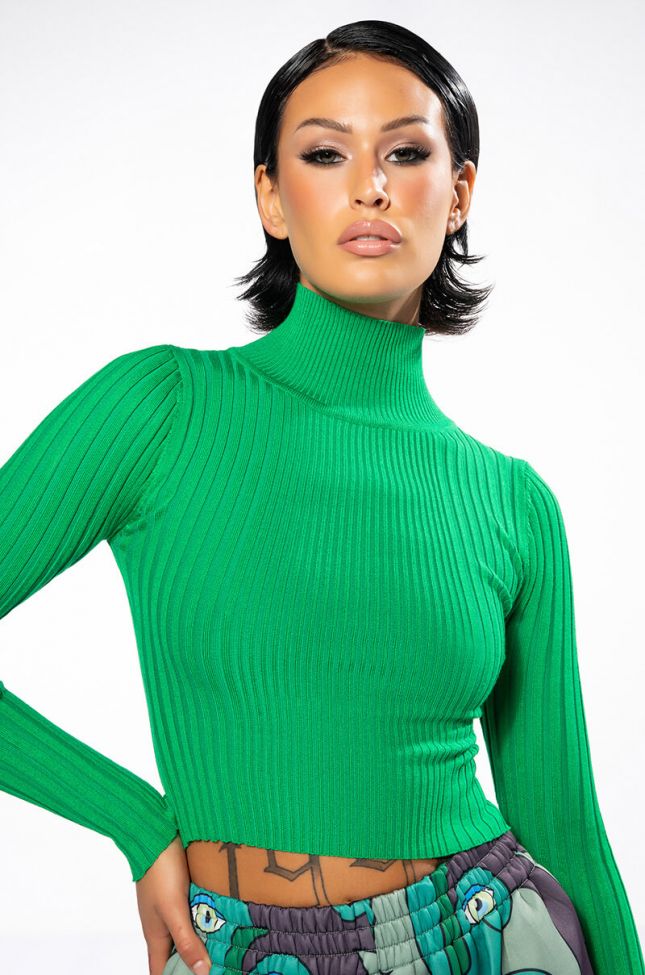 Front View No Doubt About It Crop Ribbed Turtleneck Top