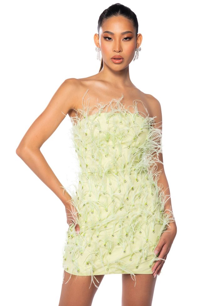 Front View Primrose Strapless Embellished Feather Mini Dress