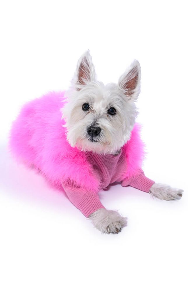Side View Quinn Feather Doggy Sweater In Pink