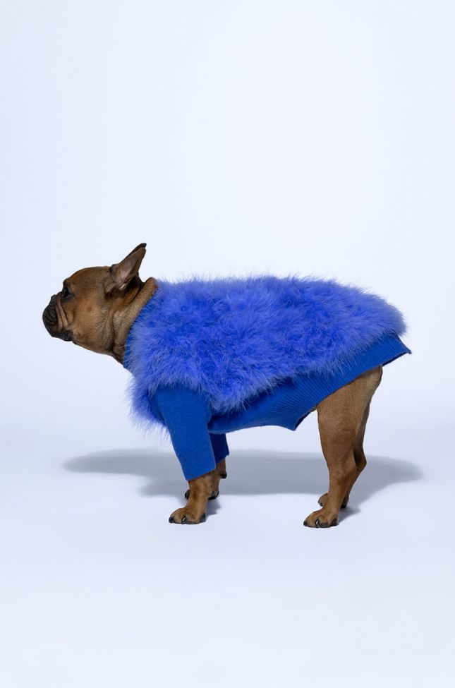 QUINN FEATHER DOGGY SWEATER