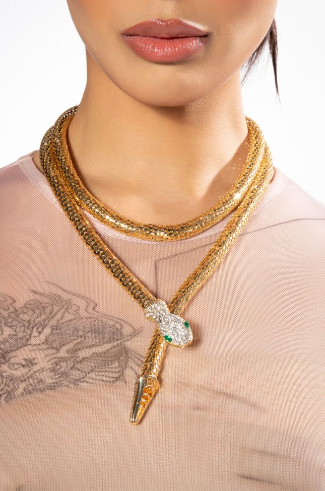 Front View Snake Wrap Around Necklace