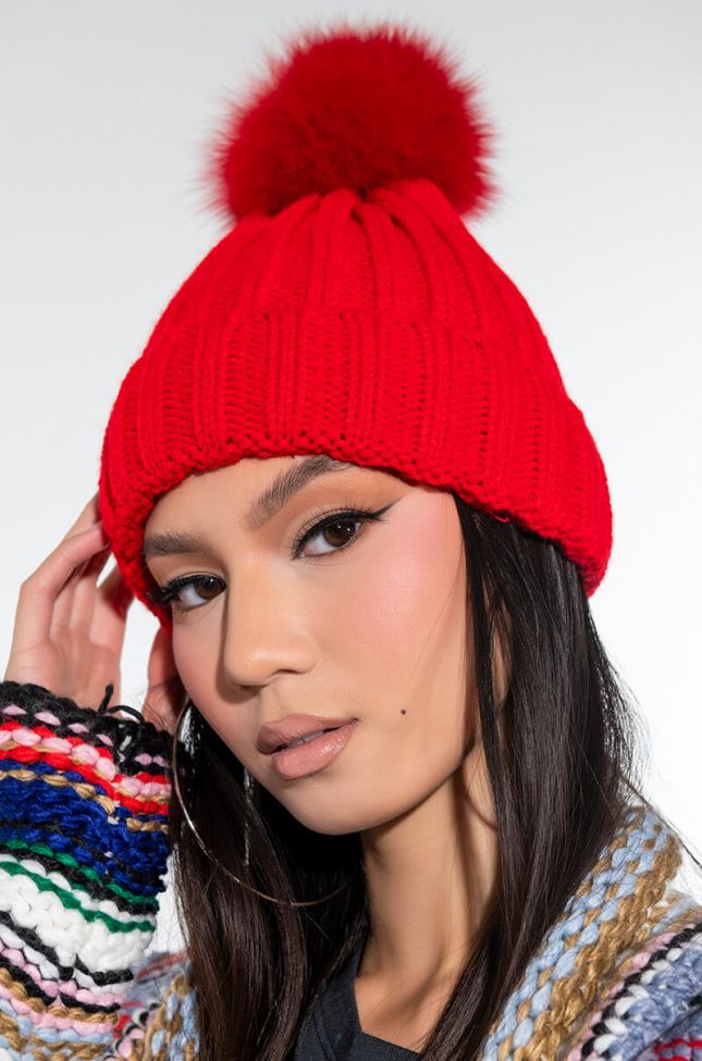 Front View Top Knot Fur Ball Knit Beanie