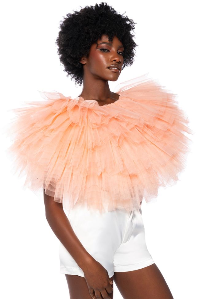 Side View Turning Heads Textured Tulle Top In Blush