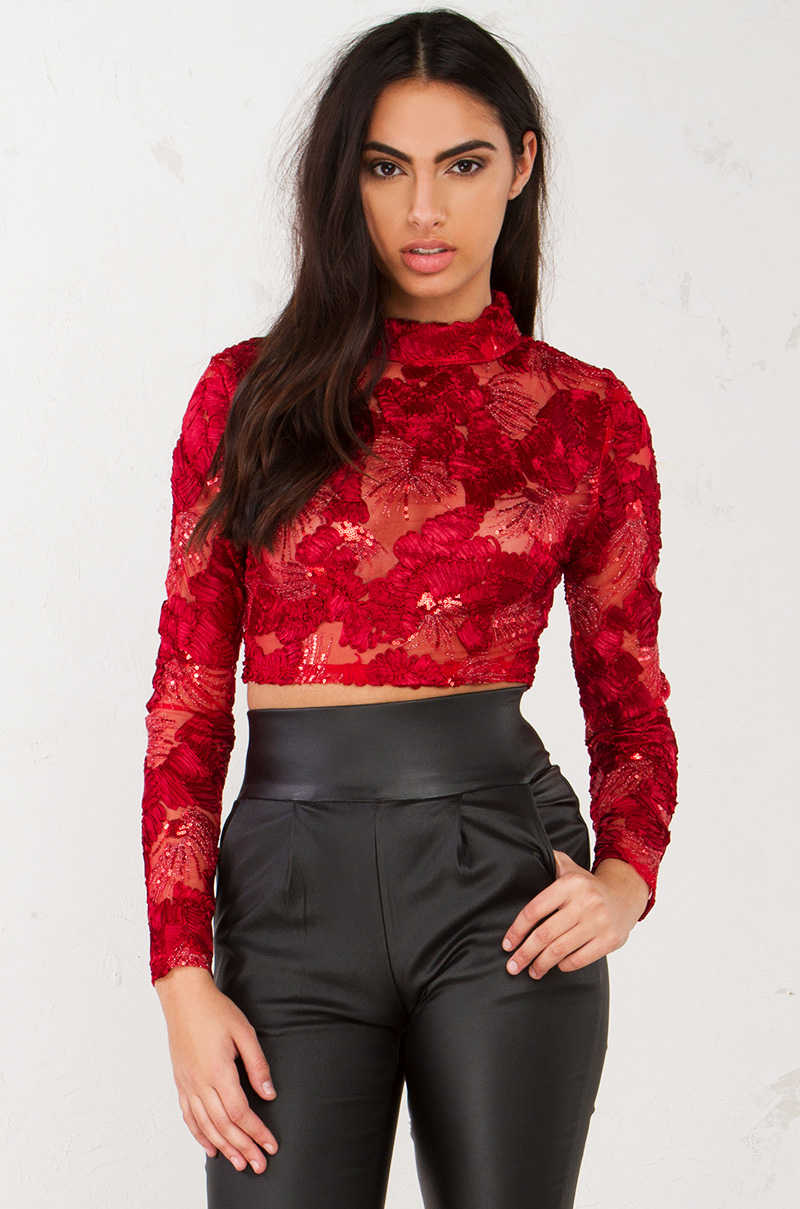 Lace Long Sleeve Crop Top in Black and Burgundy